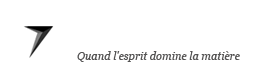 Dark-Seven - Logo